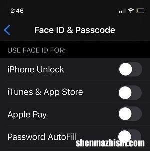 如何在iPhone和iPad上关闭或禁用面容ID