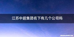 江苏中超集团名下有几个公司吗