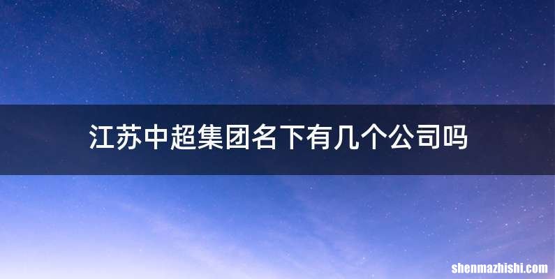 江苏中超集团名下有几个公司吗