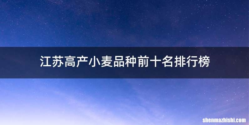 江苏高产小麦品种前十名排行榜
