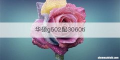 华硕g502配3060ti