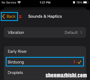 如何更改iPhone和iPad上的唤醒闹钟声音