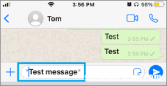 如何在WhatsApp中使用粗体、斜体和删除线