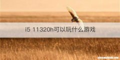 i5 11320h可以玩什么游戏