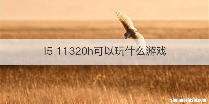 i5 11320h可以玩什么游戏
