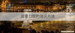 田里白蚁的消灭方法