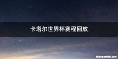 卡塔尔世界杯赛程回放