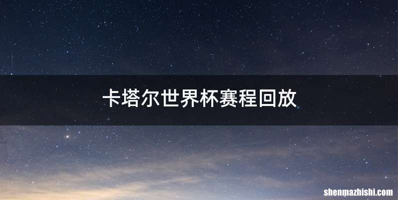 卡塔尔世界杯赛程回放