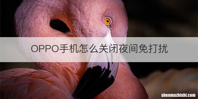 OPPO手机怎么关闭夜间免打扰