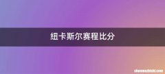 纽卡斯尔赛程比分