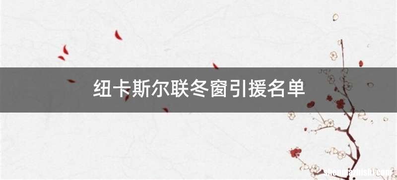 纽卡斯尔联冬窗引援名单