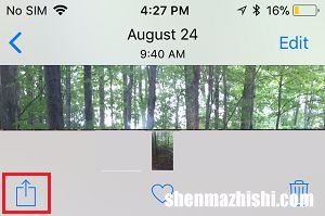 如何在iPhone和iPad上将HEIC照片转换为PNG格式