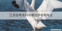 江苏自考本科有哪些学校和专业