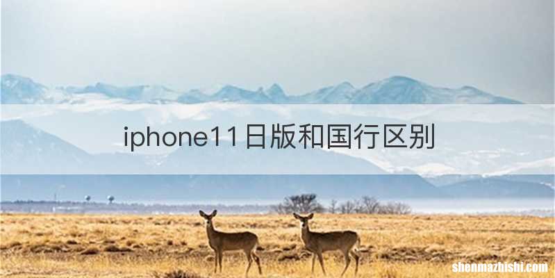 iphone11日版和国行区别