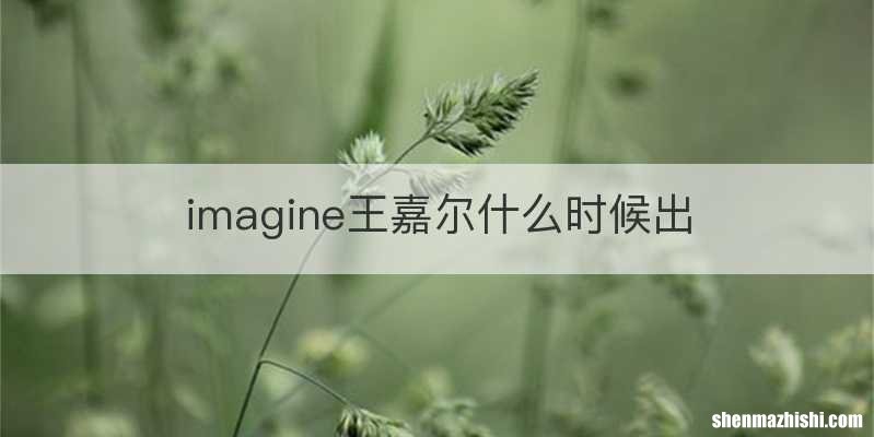 imagine王嘉尔什么时候出