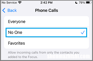 在iPhone上设置请勿打扰自动回复消息