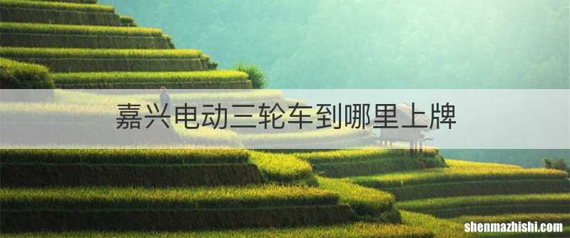 嘉兴电动三轮车到哪里上牌