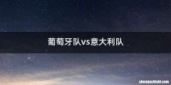 葡萄牙队vs意大利队
