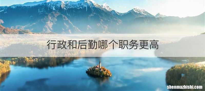 行政和后勤哪个职务更高