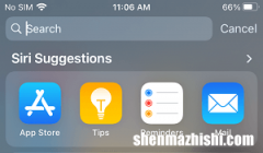 在iPhone或iPad上的Spotlight搜索中禁用Siri建议