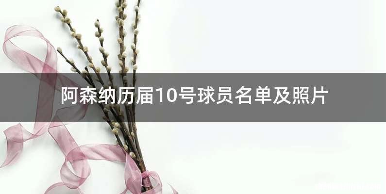 阿森纳历届10号球员名单及照片