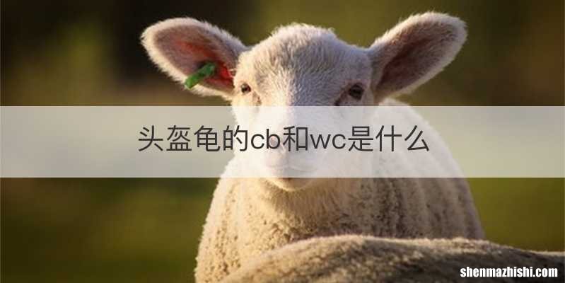 头盔龟的cb和wc是什么