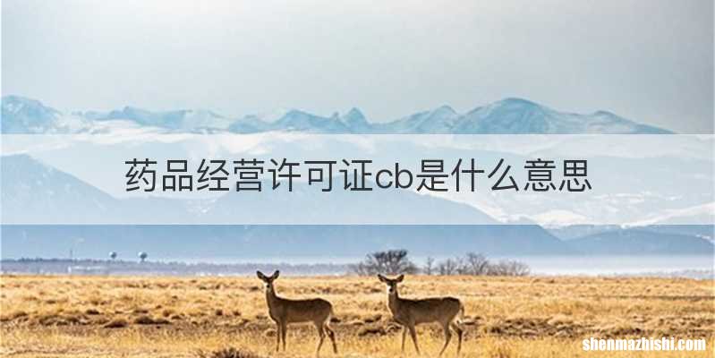 药品经营许可证cb是什么意思