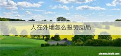 人在外地怎么报劳动局