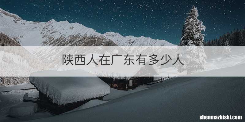 陕西人在广东有多少人