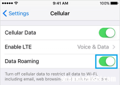 iPhone无法接听电话？修复苹果不能接听电话