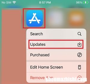 iPhone怎么更新应用，苹果手机升级APP方法