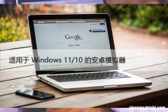 适用于Windows11/10 PC的最佳安卓模拟器