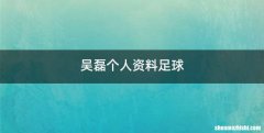 吴磊个人资料足球