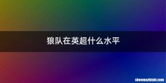 狼队在英超什么水平