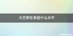 大巴黎在英超什么水平