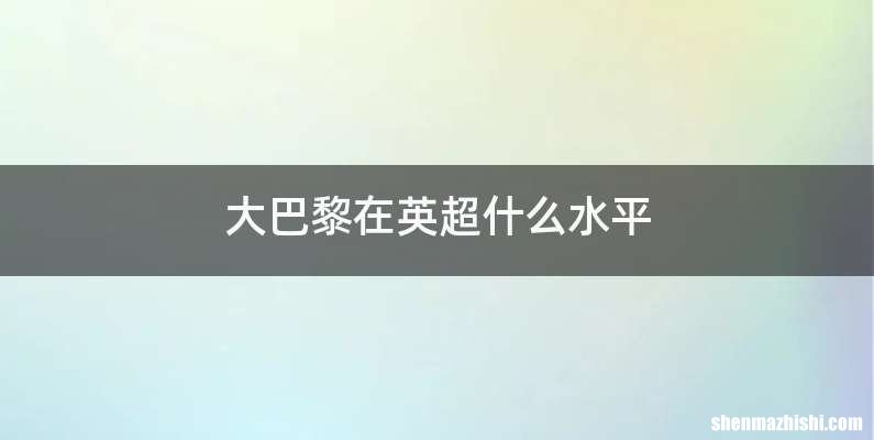 大巴黎在英超什么水平