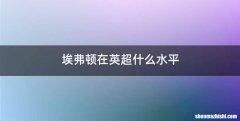 埃弗顿在英超什么水平