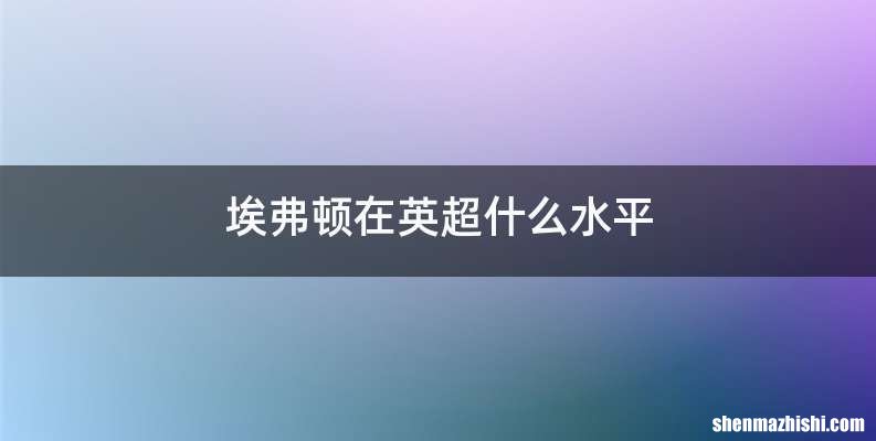 埃弗顿在英超什么水平