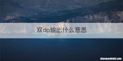双dp输出什么意思
