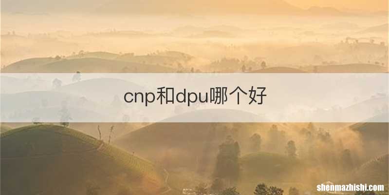 cnp和dpu哪个好