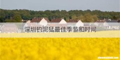 深圳钓泥猛最佳季节和时间