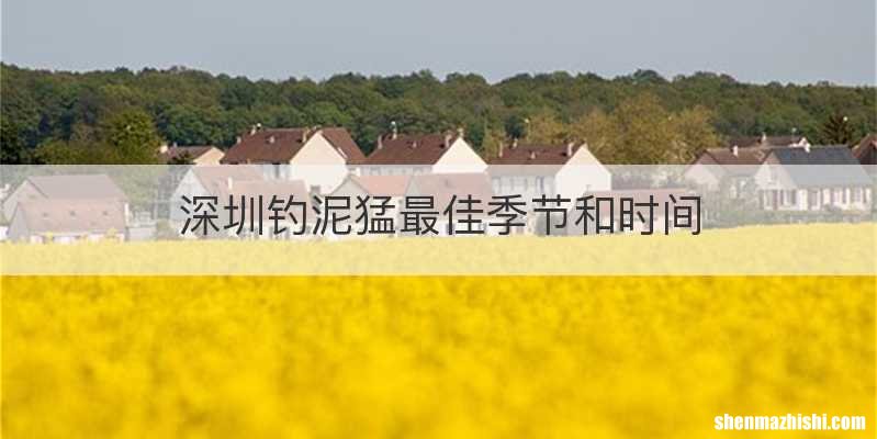 深圳钓泥猛最佳季节和时间