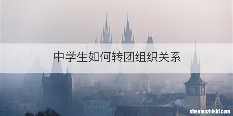 中学生如何转团组织关系