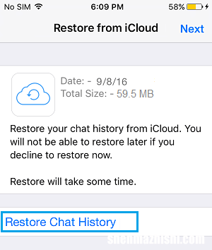 如何在苹果手机上恢复已删除的WhatsApp消息