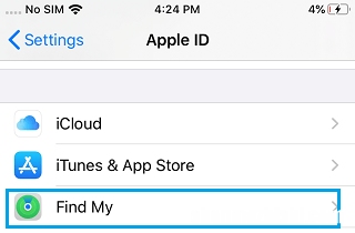 使用电脑关闭iPhone和iCloud上的“查找我的”
