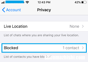 如何在iPhone上的WhatsApp中阻止某人
