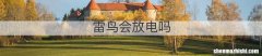 雷鸟会放电吗