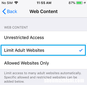 图文教程 如何在iPhone和iPad上屏蔽网站