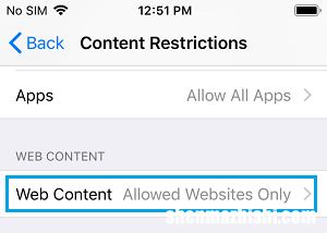 图文教程 如何在iPhone和iPad上屏蔽网站