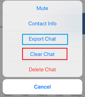 如何在苹果iPhone上删除WhatsApp消息